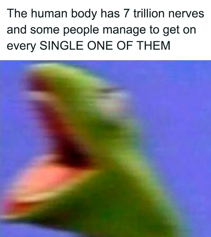 Kermit The Frog Memes 39 649C46Cd6Ceb8 700