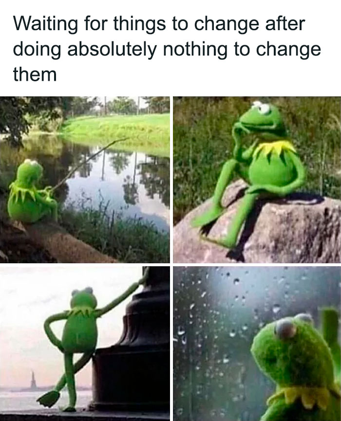 Kermit The Frog Memes 44 649D3E12B801E 700