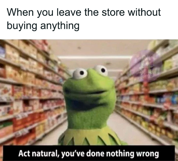 Kermit The Frog Memes 45 649D421Ae6A57 700