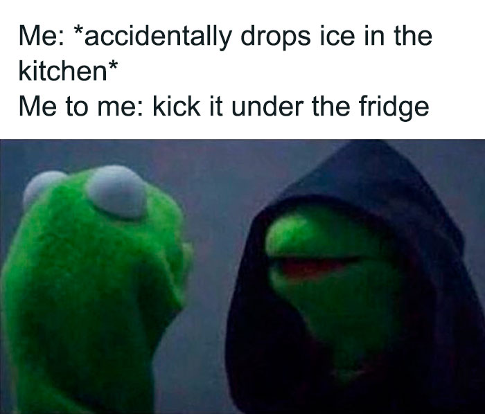 Kermit The Frog Memes 5 649Bff08637A8 700