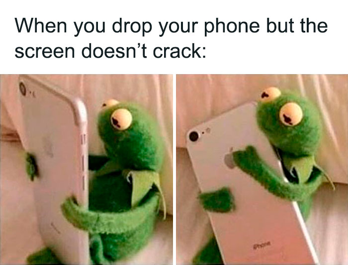 Kermit The Frog Memes 7 649C14F7A4D8F 700