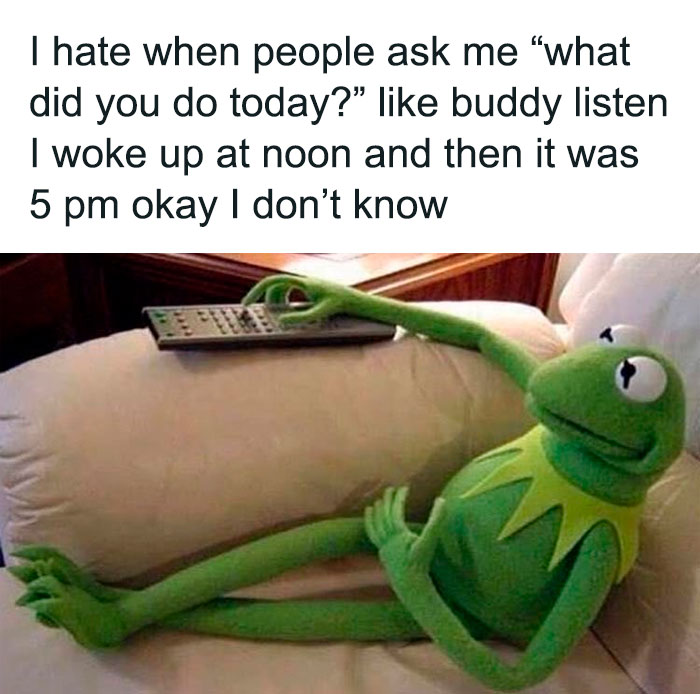 Kermit The Frog Memes 8 649C01Ee937B6 700