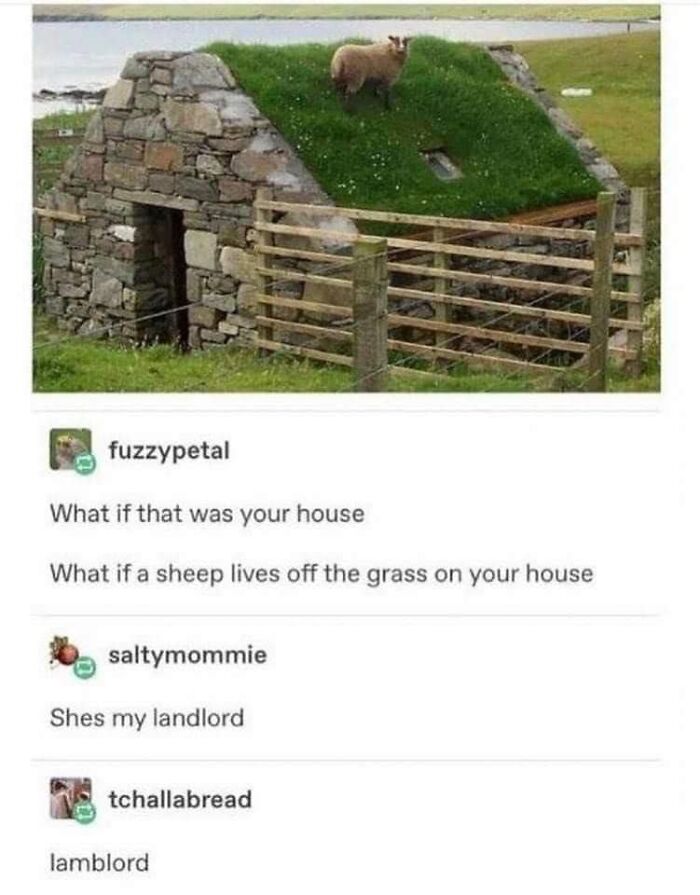 Very Clean Funny Pics Memes 64Ccb867B8868 700