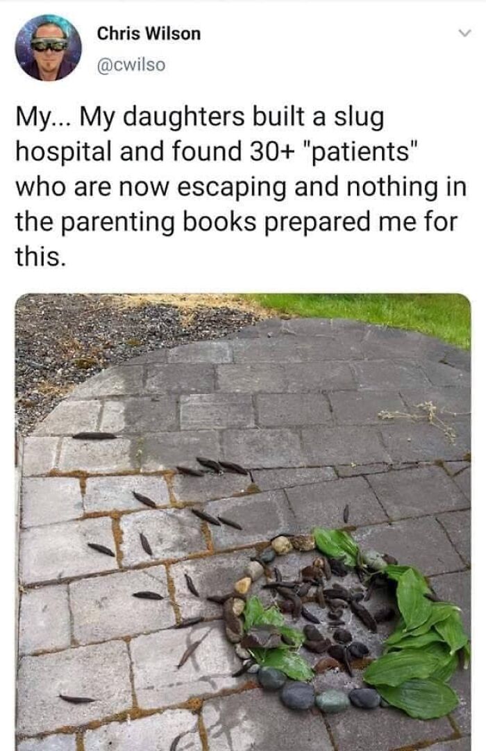 Very Clean Funny Pics Memes 64Ccbdb118Cc0 700