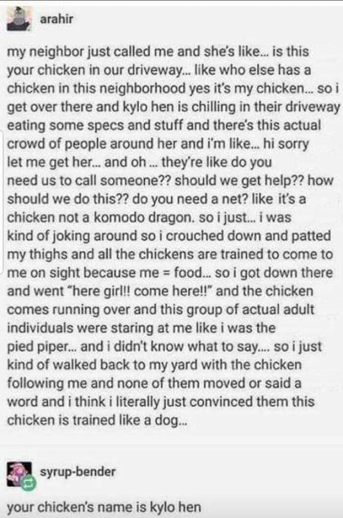 Very Clean Funny Pics Memes 64Ccbdd671D16 700