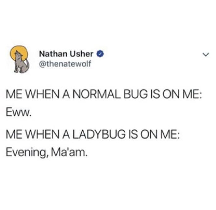 Very Clean Funny Pics Memes 64Ccc2131Eb7C 700