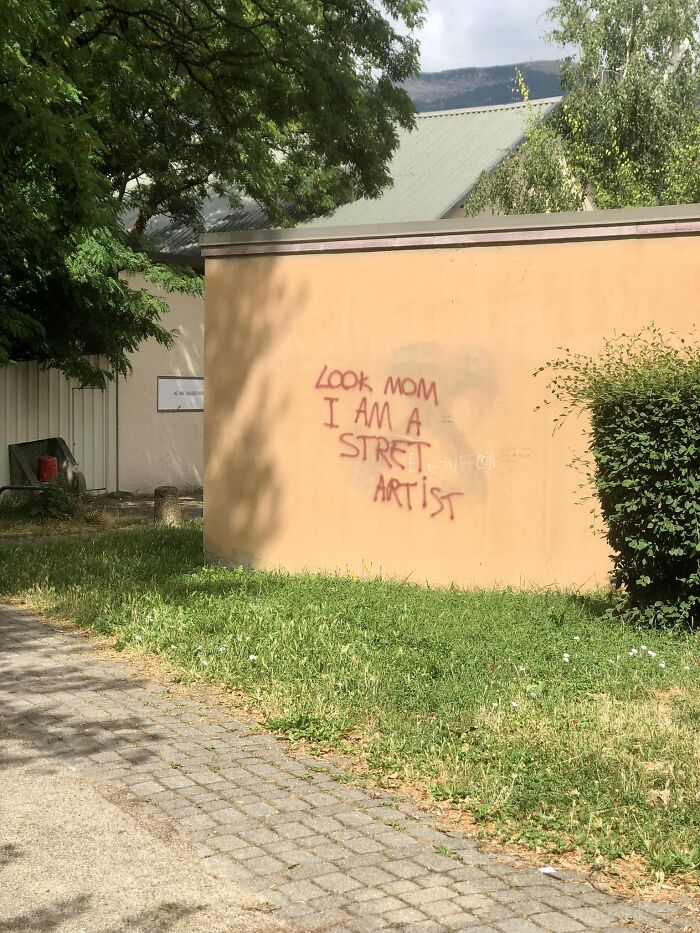 Funny Weird Graffiti 64Ccf8C5Dc894 700