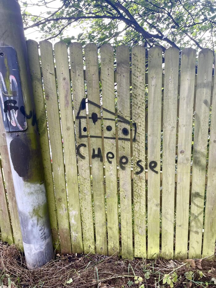Funny Weird Graffiti 64Ccfe1Dd403A 700