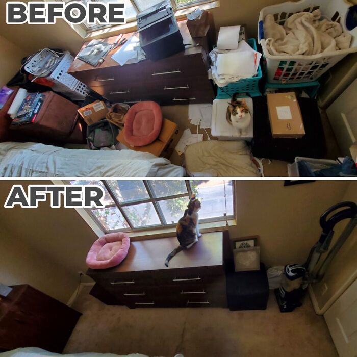 654Baf0B59028 Cleaning Pics