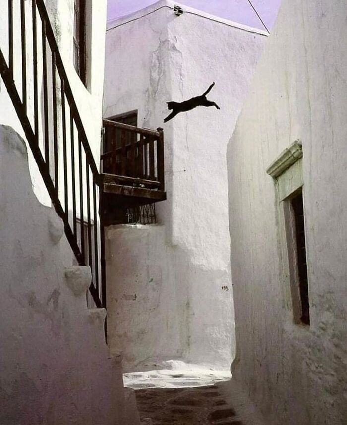 Decisive Moments Magazine Continues To Showcase Fascinating Moments Captured By Street Photographers 50 New Pics 6544D0Bf18F02 700