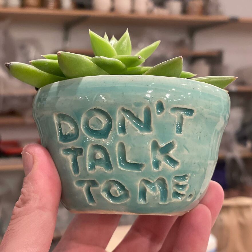 More Than 37 Dishes With Issues By Ceramic Artist Dave Zackin 63C1481E715A3 880