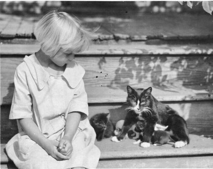 30 Classic Cat Photos Demonstrating Their Superiority As Pets