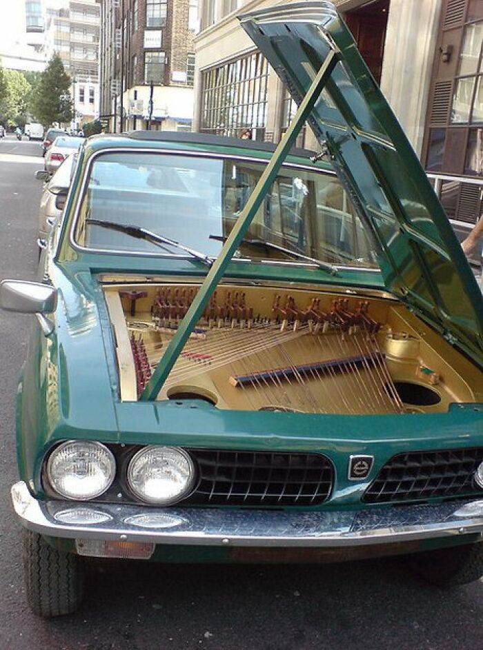 Funny Musical Instruments Predicaments 6571802161727 700