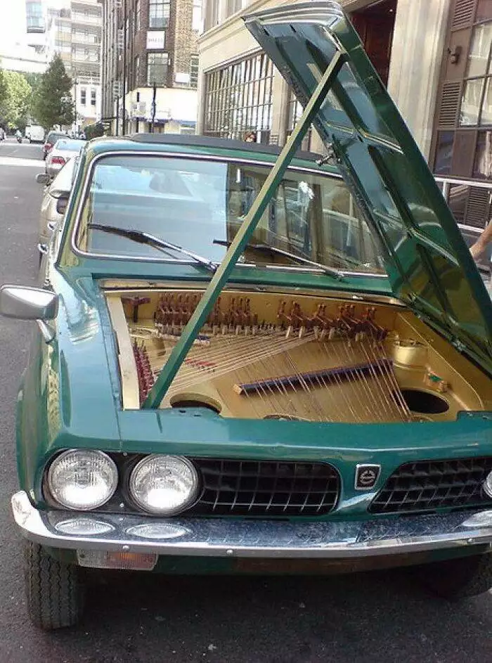 Funny Musical Instruments Predicaments 6571802161727 700