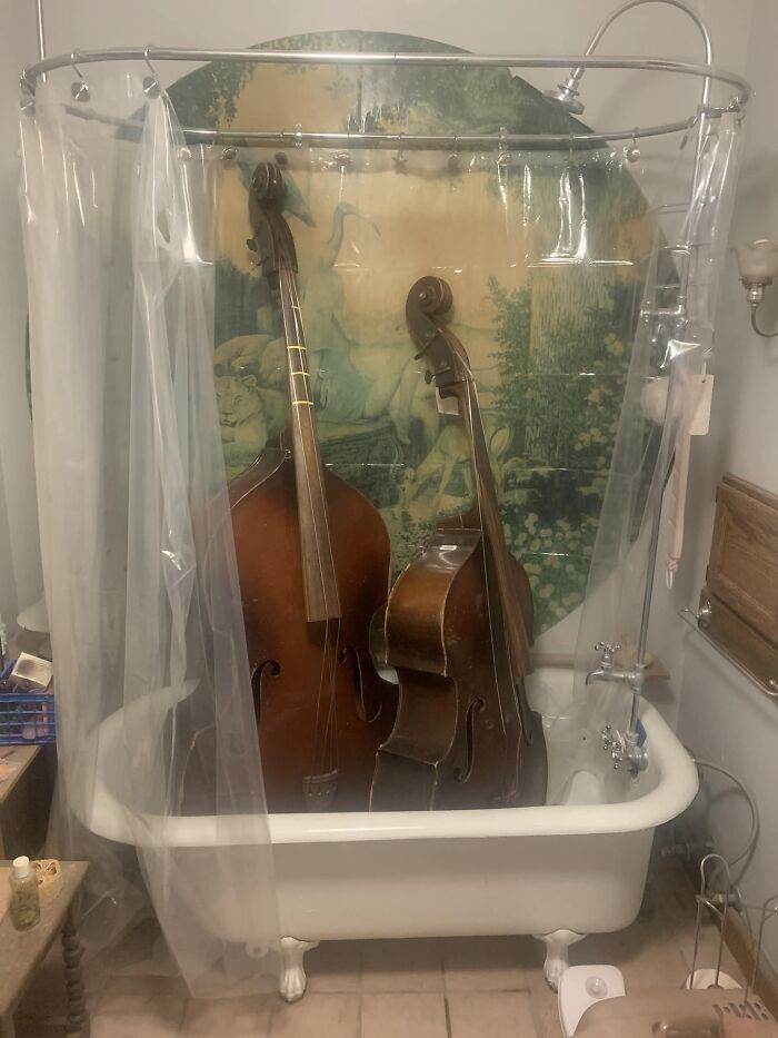 Funny Musical Instruments Predicaments 657180F8Da888 700