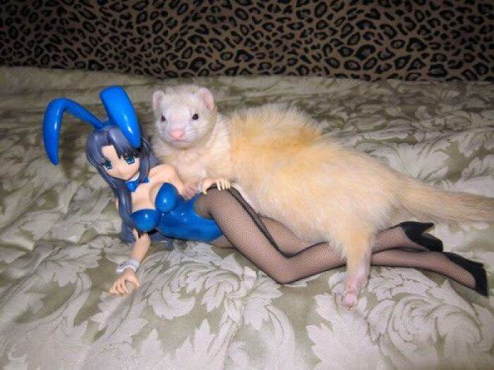 Strange Weird Cursed Images 112 656Edc9605680 700