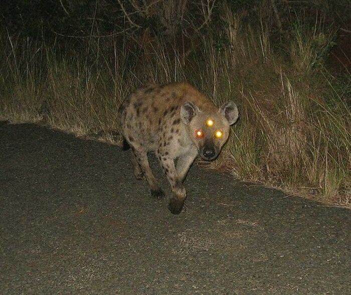 30 Unbelievable Pics From The Dark Side Of The Internet