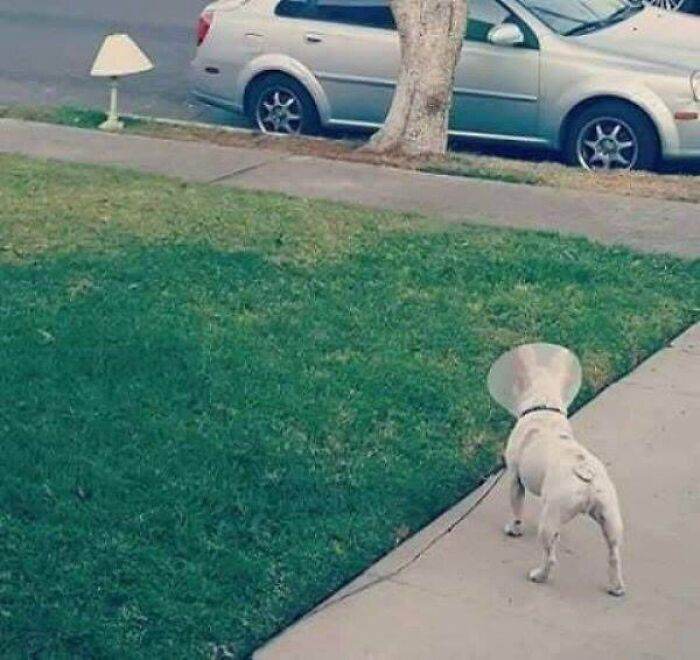 30 Unbelievable Pics From The Dark Side Of The Internet