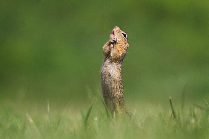 30 Amazing Moments Captured In Photography