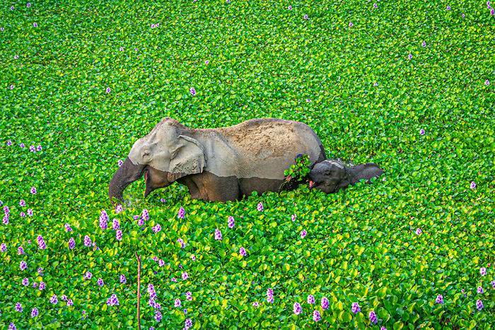 30 Amazing Moments Captured In Photography