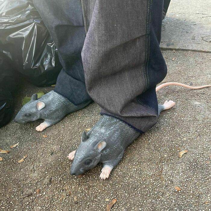 30 Questionable Fashion Choices  