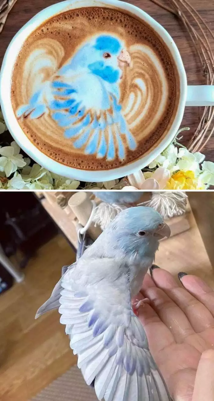 Cool Latte Art 46 659D4Dd8D95Fc 700