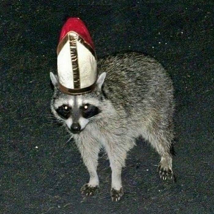 No Context Cursed Images 47 65A102045741F 700
