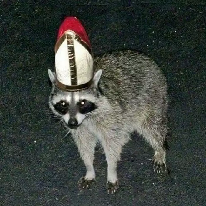 No Context Cursed Images 47 65A102045741F 700