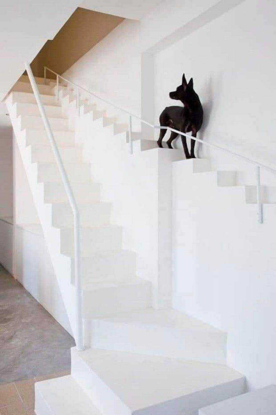 You Should Have Hired An Architect 65C0Bb3B89085 880