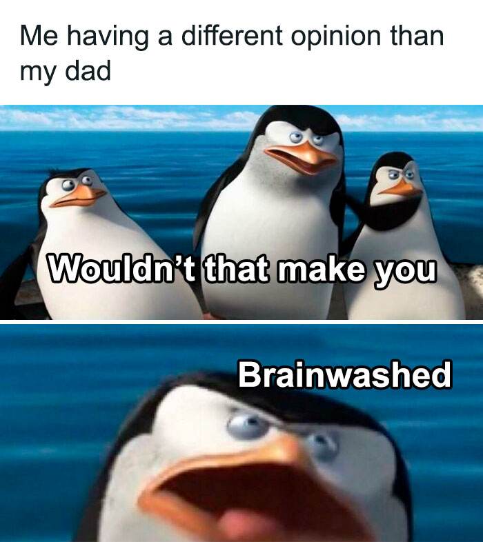 Funny Insane Parents Memes 8 65C9C57E05E19 700