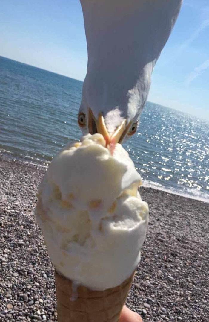 30 Photos Capturing Impending Disaster