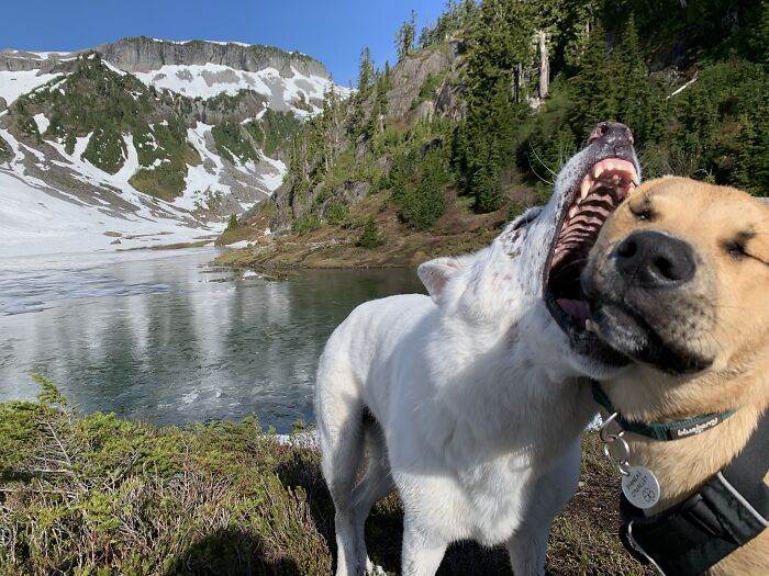 30 Photos Capturing Impending Disaster