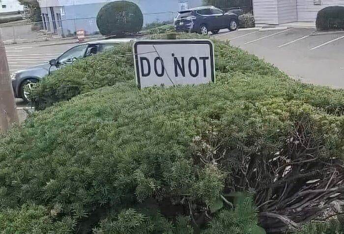 65F199D672A41 Funny Bad Signs