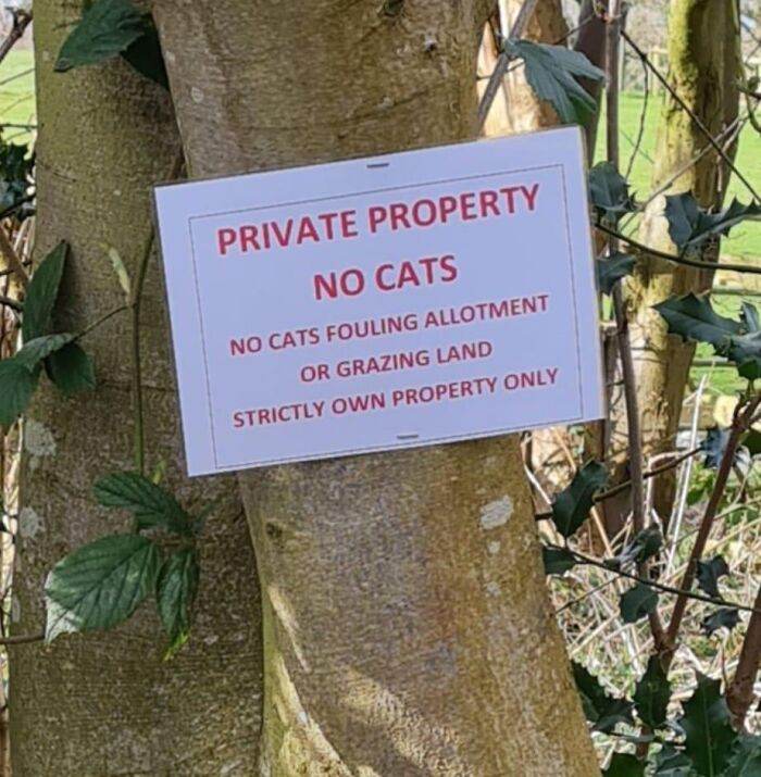 65F1A32Febdb5 Funny Bad Signs