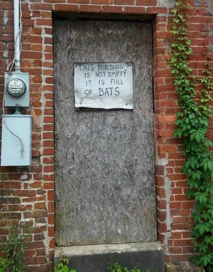 65F1A354C6Df8 Funny Bad Signs
