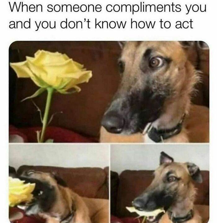 30 Memes Perfect For Those Who Can Barely Keep It Together