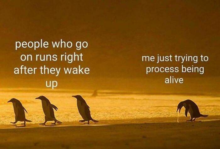 30 Memes Perfect For Those Who Can Barely Keep It Together