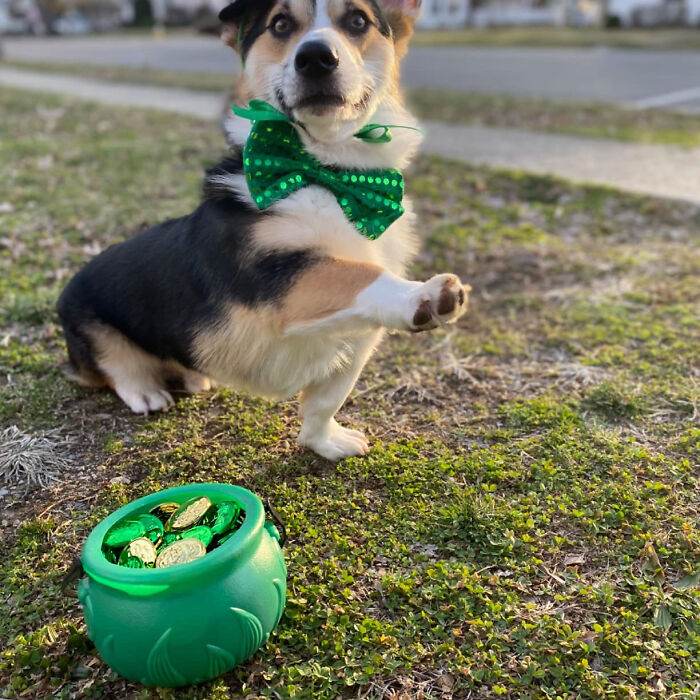 Musthaveaccessoriesforsaintpatricksday19 65E1D79413161 700