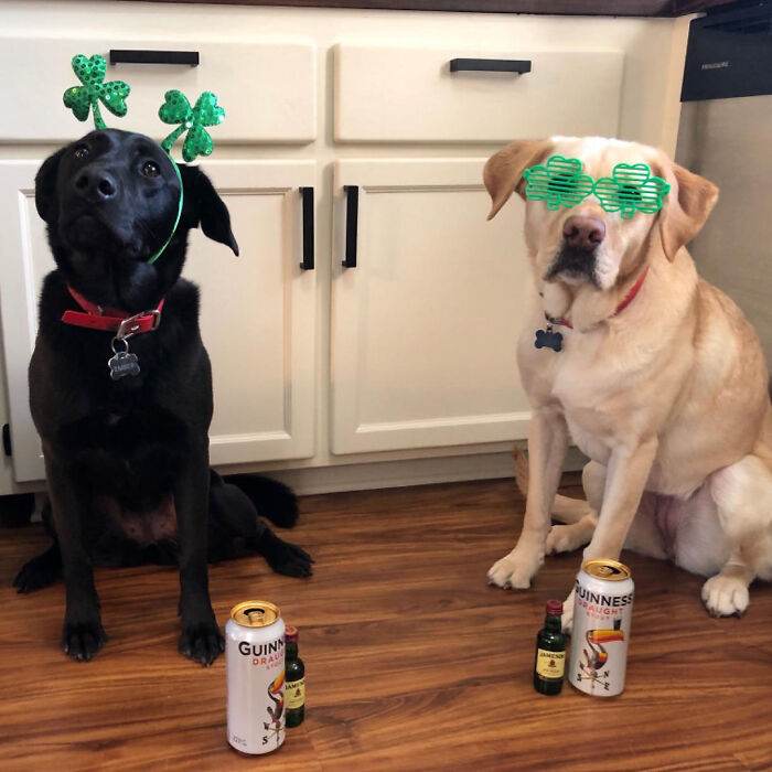 Musthaveaccessoriesforsaintpatricksday8 65E19F92E33Ce 700