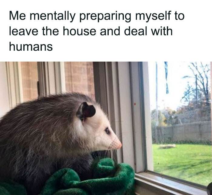 Freud Intensifies Funny Memes 14 65F44C69A14B9 700