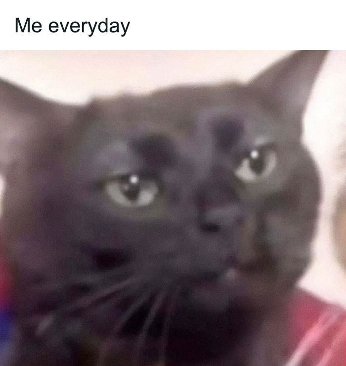 30 MustSee Simply Hilarious Memes