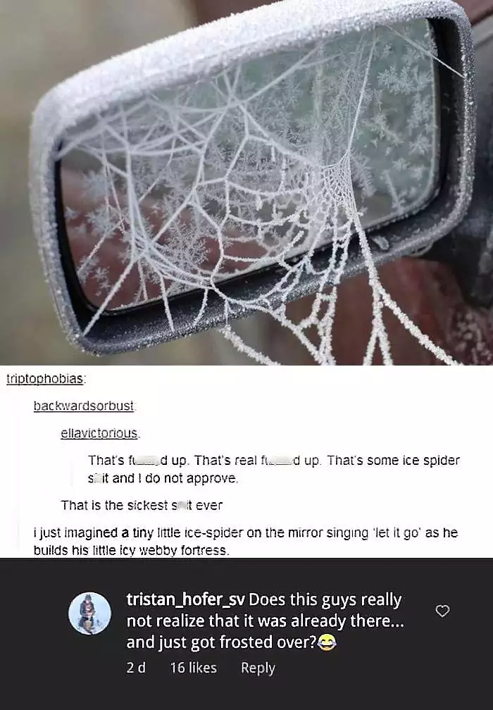 People Who Did Not Get The Joke 20 65F98D0B640A1 700