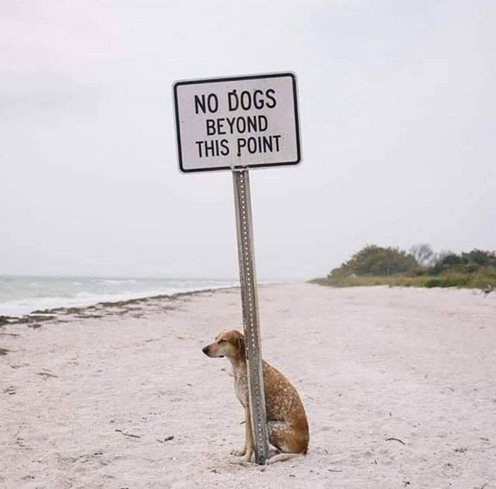 Really Funny Signs 14 65E1Ea87D6E69 700