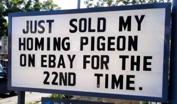 Really Funny Signs 21 65E9D52Bcf0F4 700