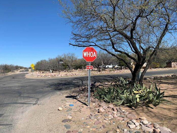 Really Funny Signs 65E19Ecc76947 700