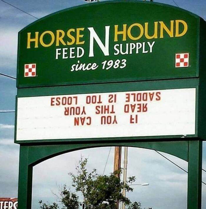 Really Funny Signs 65E1Aa537139F 700