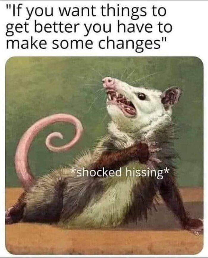 So Relatable Funny Memes 47 65F2B0579C533 700