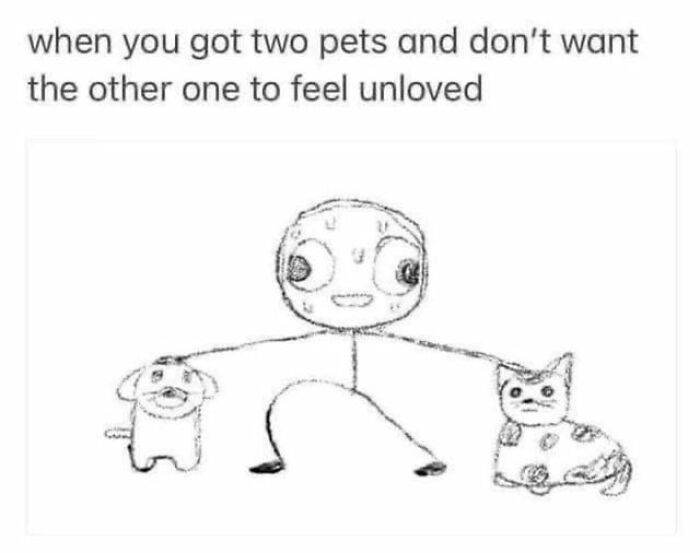 So Relatable Funny Memes 60 65F2B072A45Aa 700
