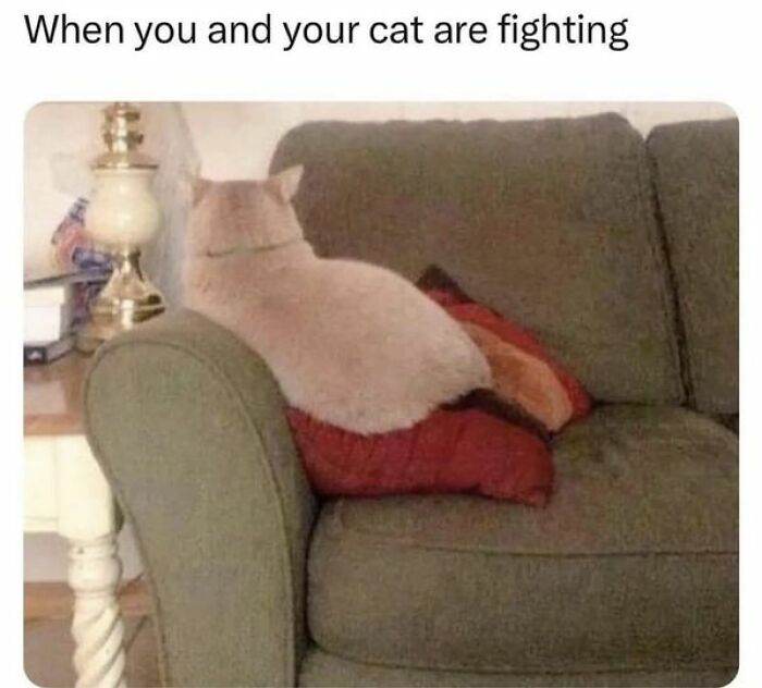 So Relatable Funny Memes 71 65F2B08A939Fd 700