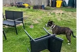 30 Hilarious Images From The &Quot;We Will Rebuild&Quot; Trend After The East Coast Earthquake